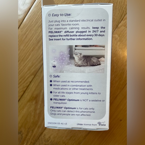 White Cat with Plush Fur and Striking Eyes - Picture 4 of 6